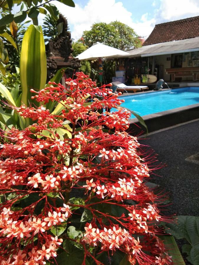 SunwuKong Guest House Ubud Extérieur photo
